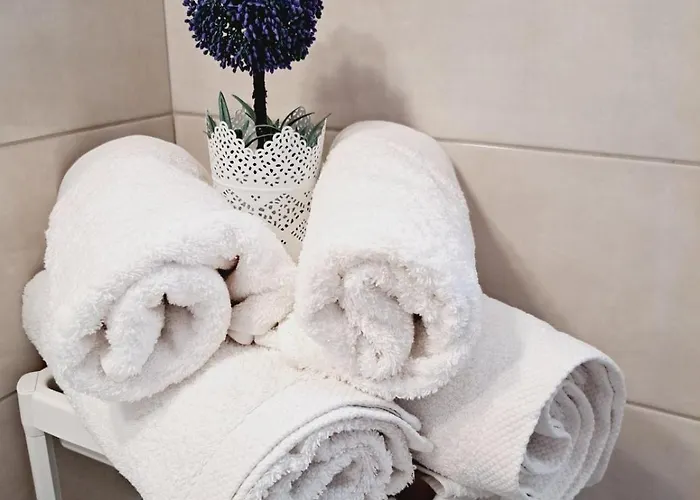 Mimika بيت للعطل