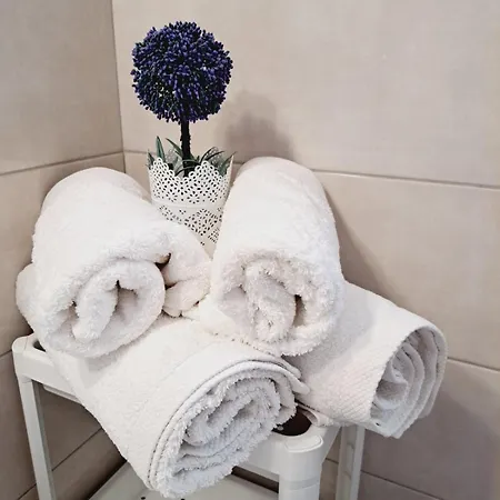 Mimika Semesterbostad